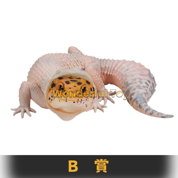 B賞 B賞