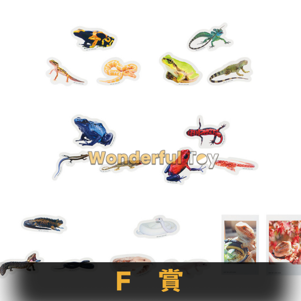 F賞 F賞