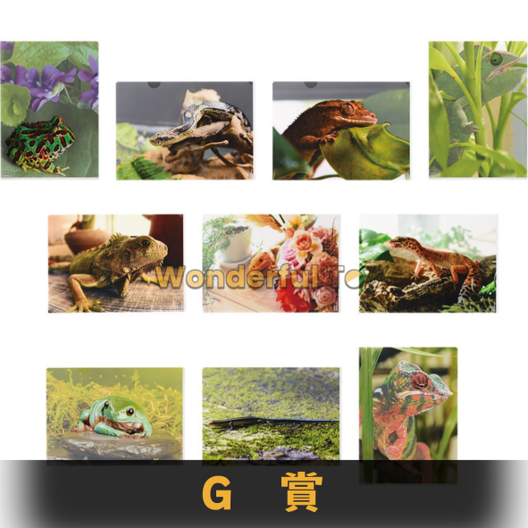 G賞 G賞