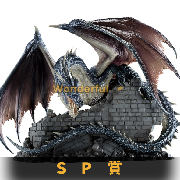Sp賞 Sp賞