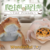 封面 封面