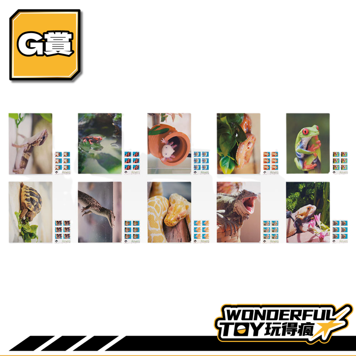 G賞 0 G賞 0