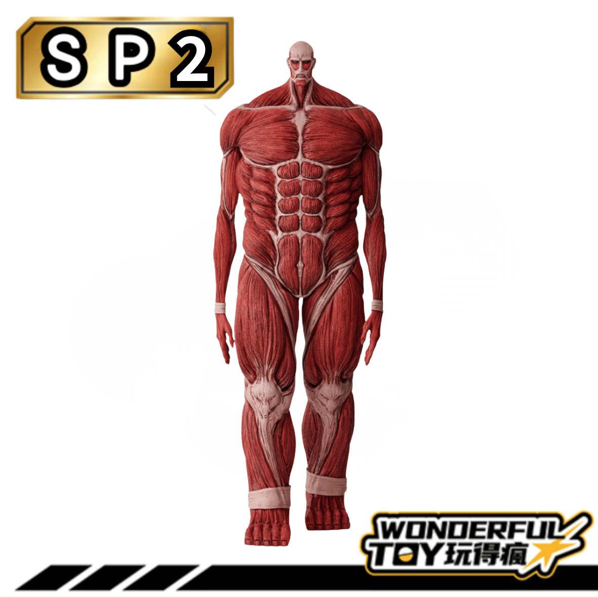 Sp2 2 Sp2 2