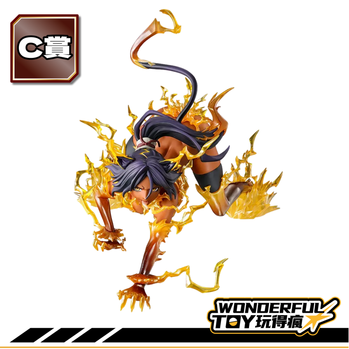 C 6 C 6