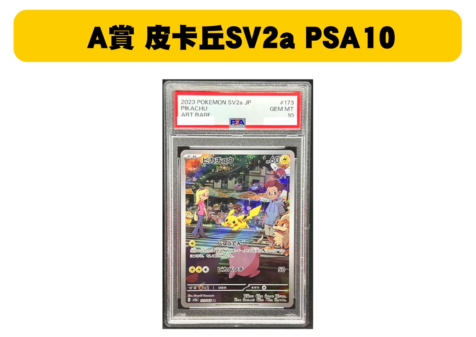 S 62423089 0 S 62423089 0